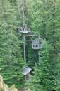 Ziplines