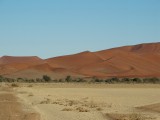 DSC01805
