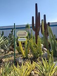 20191025_161624