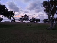 20191029_190234