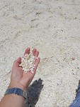 20191031_124037