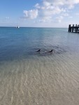 20191101_075248
