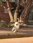 20191106_173143