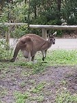 20191108_075656