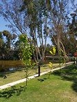 20191113_095835