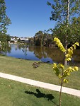 20191113_095831
