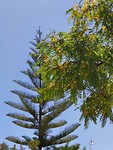 20191114_120919