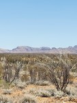 20191118_130815
