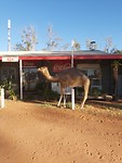 20191120_070614