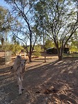 20191120_070452
