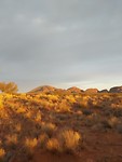 20191123_060212