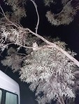 20191128_211736