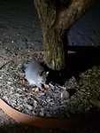 20191128_210457