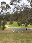 20191203_095219