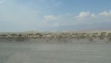 De Dunes
