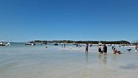 Het hondenstrand