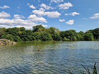 The Lake