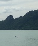 IMG_6622