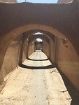 IMG_7351