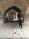 IMG_7446