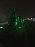 IMG_7460