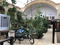 friendly hotel