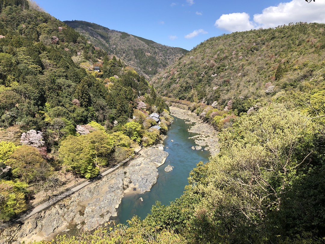 Arashiyama