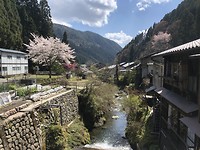Kurama