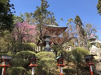 Tempel Kurama