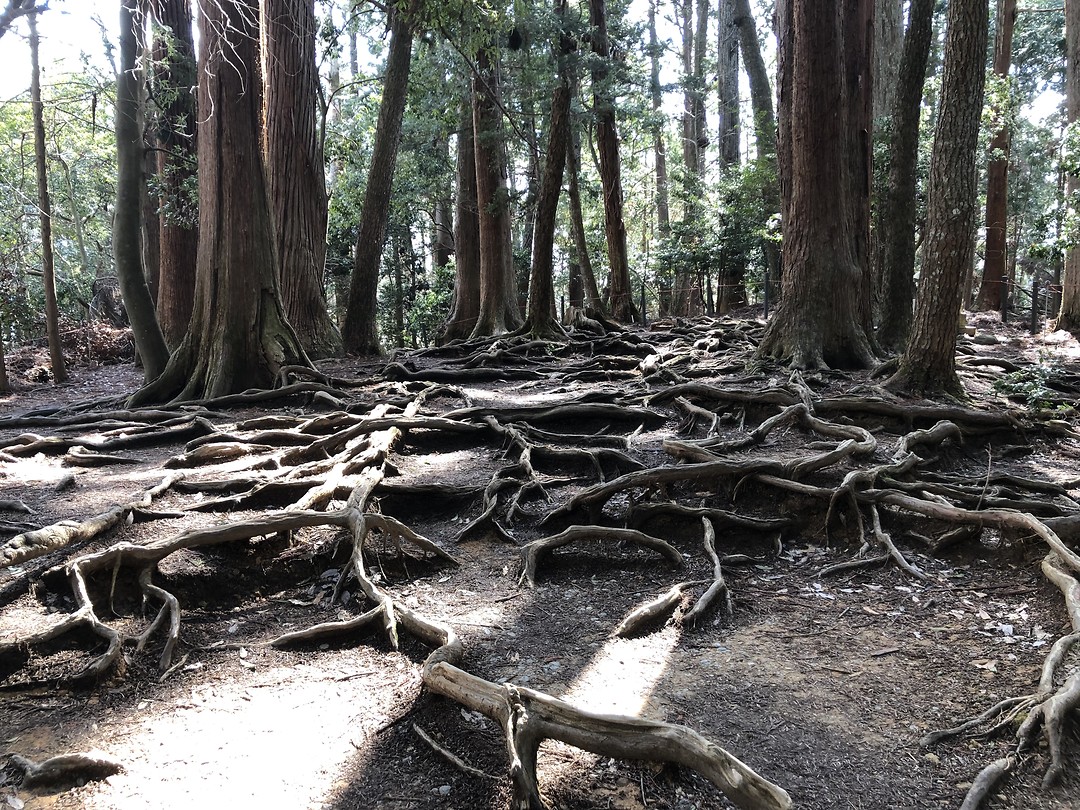 Kurama