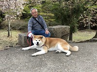 Man met hond
