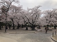 Matsumoto