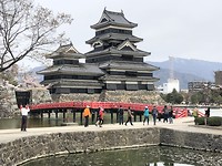 Matsumotocastel
