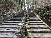 Nikko