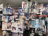 Posters meisjes akihabara