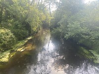 Bostocht