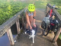 Jesse onze tijdelijke metgezel.