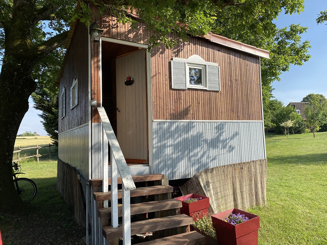 Tinyhouse in saunay