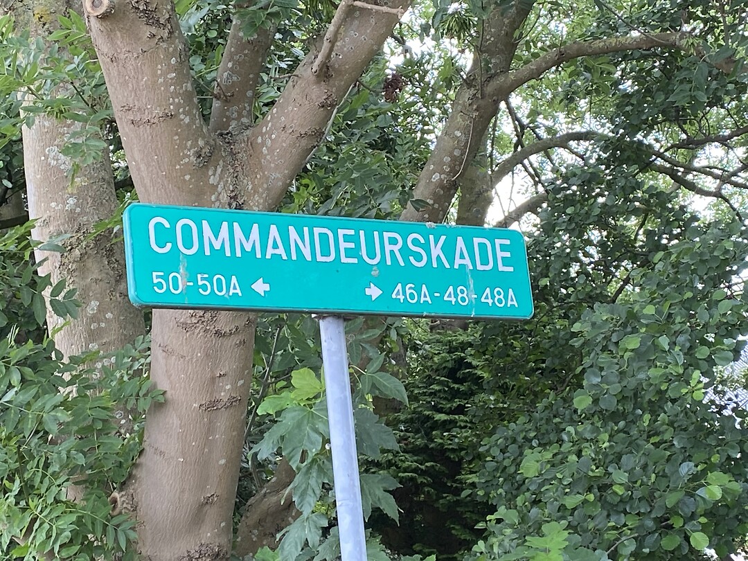 Die kom je toch overal tegen!