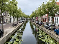 Delft