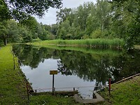 IMG_20240707_173003537_HDR