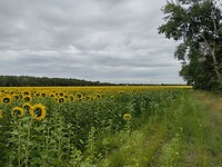 IMG_20240707_174103068_HDR