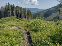 IMG_20240709_095220744_HDR