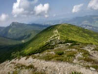 IMG_20240709_104431778_HDR