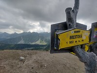 IMG_20240709_110528872_HDR