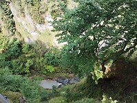 IMG_20240711_110230583