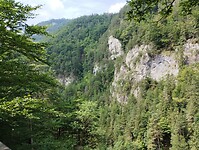 IMG_20240711_110308396