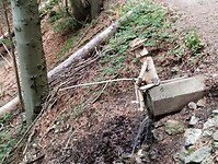 IMG_20240711_111230974