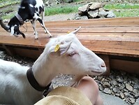 IMG_20240711_120651006