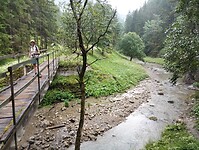 IMG_20240711_134929489